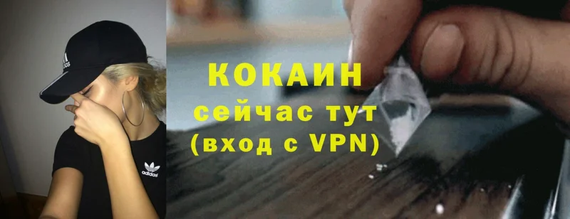 Cocaine VHQ  купить закладку  Каргат 