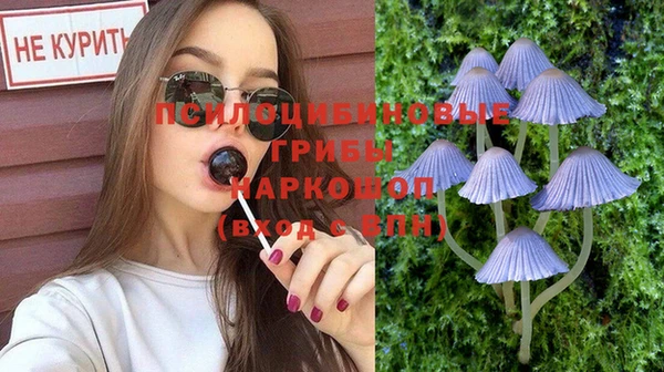 дмт Белоозёрский